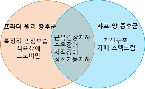 프라더 윌리 증후군과 샤프-양 증후군 차이점 그림