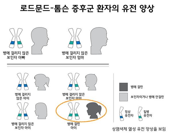 로드문드-톰슨 증후군 환자의 유전 양상 그림. 정상유전자와 질병 유전자를 하나씩 가진 병에 걸리지 않은 보인자 아빠와 병에 걸리지 않은 보인자 엄마. 정상유전자를 2개 가진 병에 걸리지 않은 아니, 정상유전자와 질병유전자를 하나씩 가진 보인자 아이, 2개의 질병유전자를 가진 병에 걸린 아이. 상염색체 열성 유전 양상을 보임.