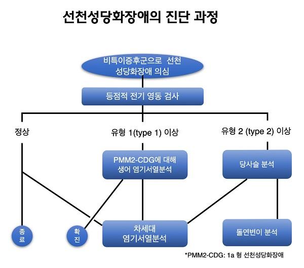 선천성당화장애의 진단 과정 그림