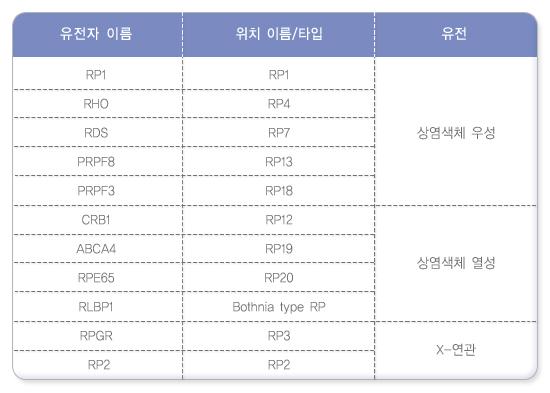분자유전학검사 차트 이미지. 순서: 유전, 유전자 이름, 위치 이름/타입. 1. 상염색체 우성. RP1, RP1. RHO, RP4. RDS, RP7. PRPF8, RP13. PRPF3, RP18. 2. 상염색체 열성. CRB1, RP12. ABCA4, RP19. RPE65, RP20. RLBP1, Bothnnia type RP. 3. X-연관. RPGR, RP3. RP2, RP2.