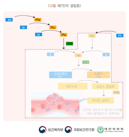 제7인자 결핍증