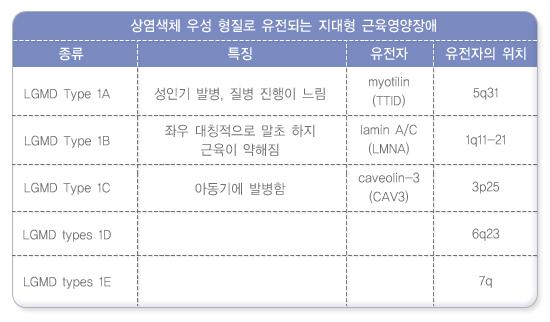 지대형 근디스트로피의 구분 및 관련유전자1