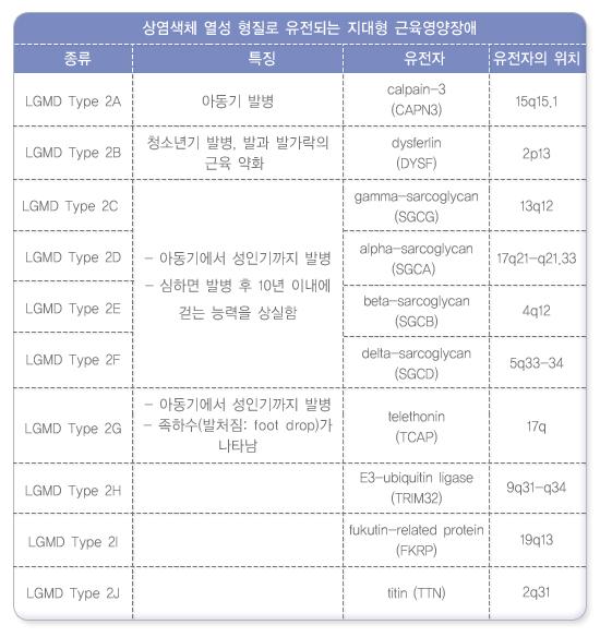 지대형 근디스트로피의 구분 및 관련유전자2