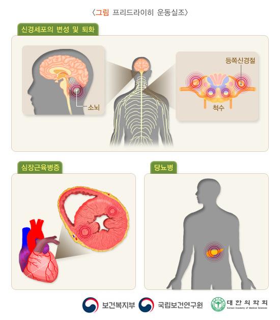 프리드라이히 운동실조