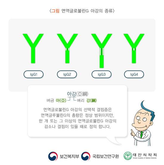 면역글로불린G 아강의 종류