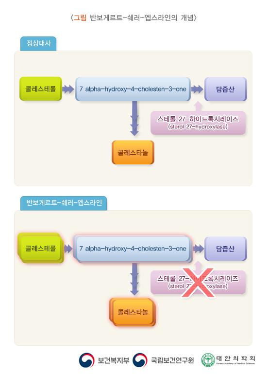 반보게르트-쉐러-엡스라인의 개념