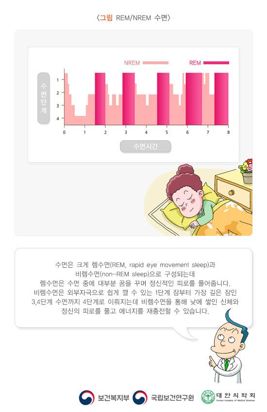 REM_NREM 수면