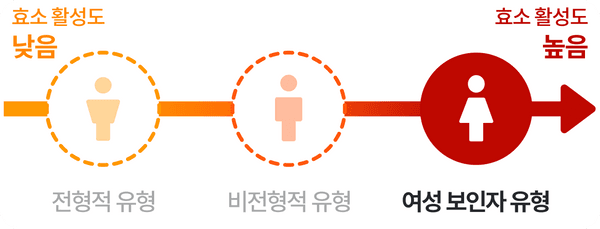 여성 보인자 유형