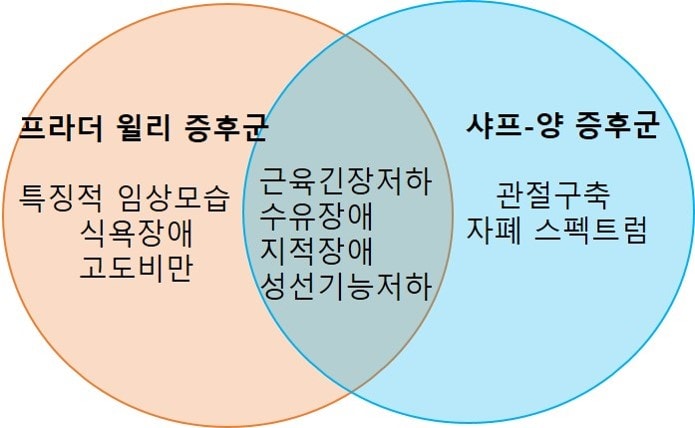 프라더 윌리 증후군과 샤프-양 증후군 차이점 그림