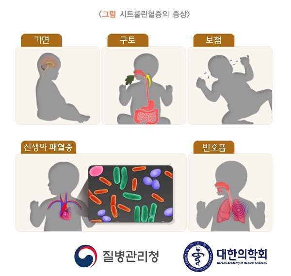 시트룰린혈증의 증상 그림. 기면, 구토, 보챔, 신생아 패혈증, 빈호흡. 질병관리청, 대한의학회
