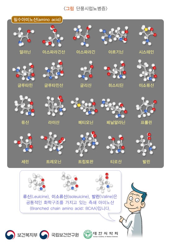 단풍시럽뇨병