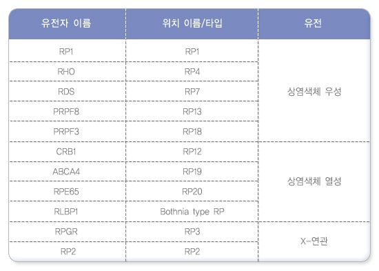분자유전학검사 차트 이미지. 순서: 유전, 유전자 이름, 위치 이름/타입. 1. 상염색체 우성. RP1, RP1. RHO, RP4. RDS, RP7. PRPF8, RP13. PRPF3, RP18. 2. 상염색체 열성. CRB1, RP12. ABCA4, RP19. RPE65, RP20. RLBP1, Bothnnia type RP. 3. X-연관. RPGR, RP3. RP2, RP2.