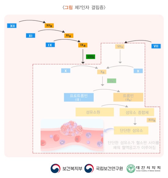 제7인자 결핍증