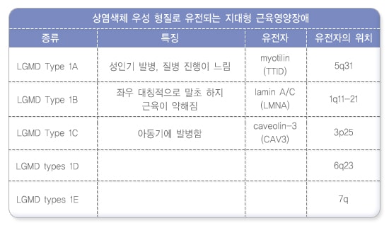 지대형 근디스트로피의 구분 및 관련유전자1