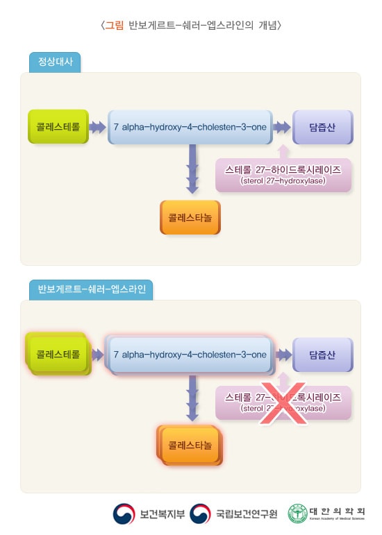반보게르트-쉐러-엡스라인의 개념