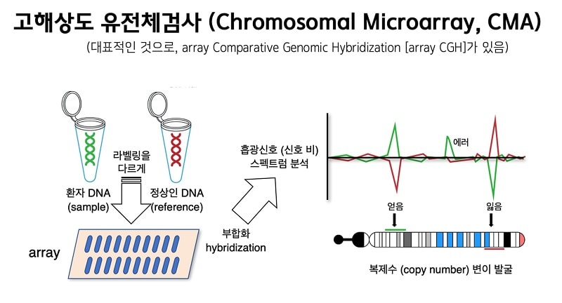 고해상도 유전체검사 그림: 대표적인 것으로 array CGH가 있음