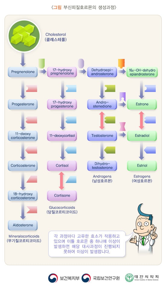 선천 적혈구생성이상빈혈
