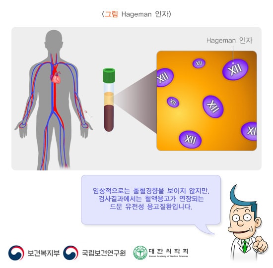 Hageman 인자