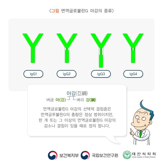 면역글로불린G 아강의 종류