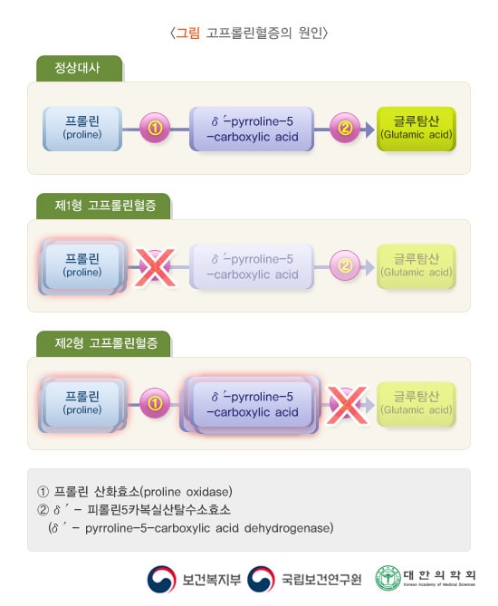 고프롤린혈증의 원인