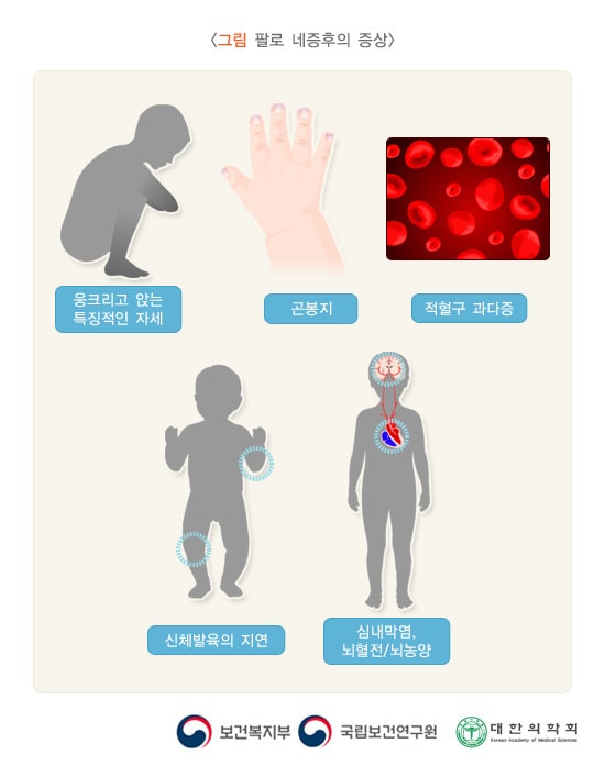 팔로 네증후의 증상