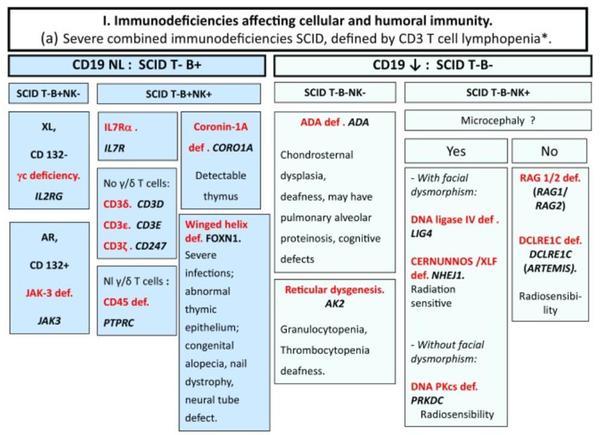 중증복합면역결필의 분류