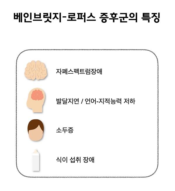 베인브릿지-로퍼스 증후군의 특징 그림. 자폐스펙트럼장애, 발달지연/언어-지적능력 저하, 소두증, 식이 섭취 장애
