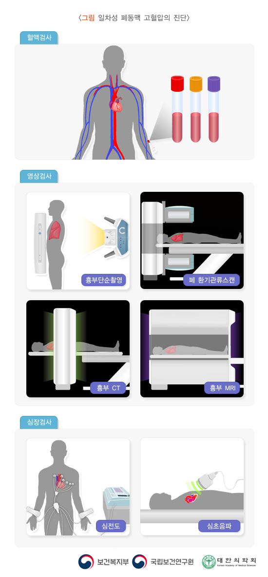 일차성 폐동맥 고혈압의 진단