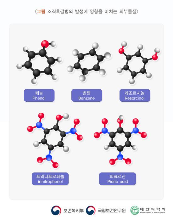 조직흑갈병의 발생에 영향을 미치는 외부물질