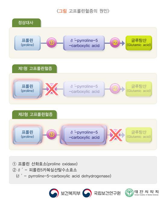 고프롤린혈증의 원인