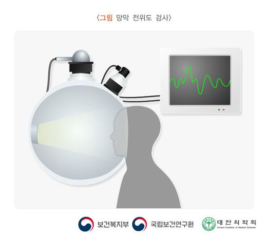 레베르 선천성 흑암시 진단 검사인 망막 전위도 검사 예시 이미지. 보건복지부, 국립보건연구원, 대한의학회